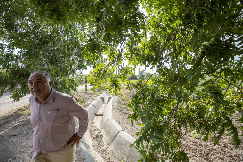 Jaime Ramírez Carrasco, the municipal president of San Francisco de Conchos, stands under a pecan tree in August 2023. A concrete-lined irrigation channel beside him transports water. 