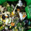 Food scraps in a GrowNYC collection bin await pick up by the DSNY. Credit: Jake Bolster