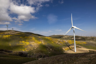Wildflowers spread over hills as wind turbines create electricity on April 16, 2023 near Cameron, California. Spectacular wildflower blooms, referred to by some as a "superbloom", is occurring across much of California following a historically wet season that drove 31 atmospheric river storms thorough the region, resulting in widespread flooding and record snow depths in the Sierra Nevada Mountains.