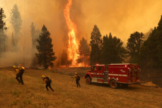 Cal Fire firefighters battle the Oak Fire on July 23, 2022 near Mariposa, California. Credit: Justin Sullivan/Getty Images