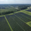 The Amazon Fort Powhatan Solar Farm in Disputanta, Virginia on August 19, 2022. Credit: Drew Angerer/Getty Images