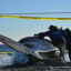 Officials examine a dead beached whale on Rockaway beach on Dec. 13, 2022 in the Queens borough of New York City. Credit: Bryan Bedder/Getty Images