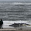 A dead whale is found on Rockaway Beach in the Queens Borough in New York City, United States on Feb. 17, 2023. Credit: Fatih Aktas/Anadolu Agency via Getty Images